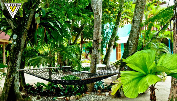 Nirvana On The Beach At Negril Jamaica Jamaican Beachfront