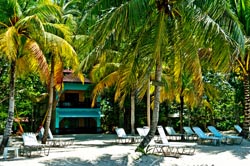 Nirvana on the Beach at Negril, Jamaica